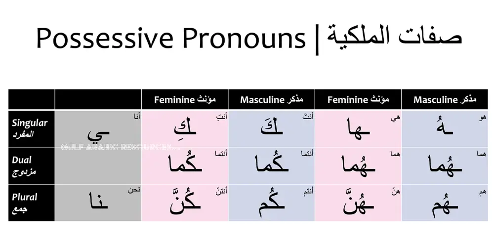 Possessive Pronouns | صفات الملكية